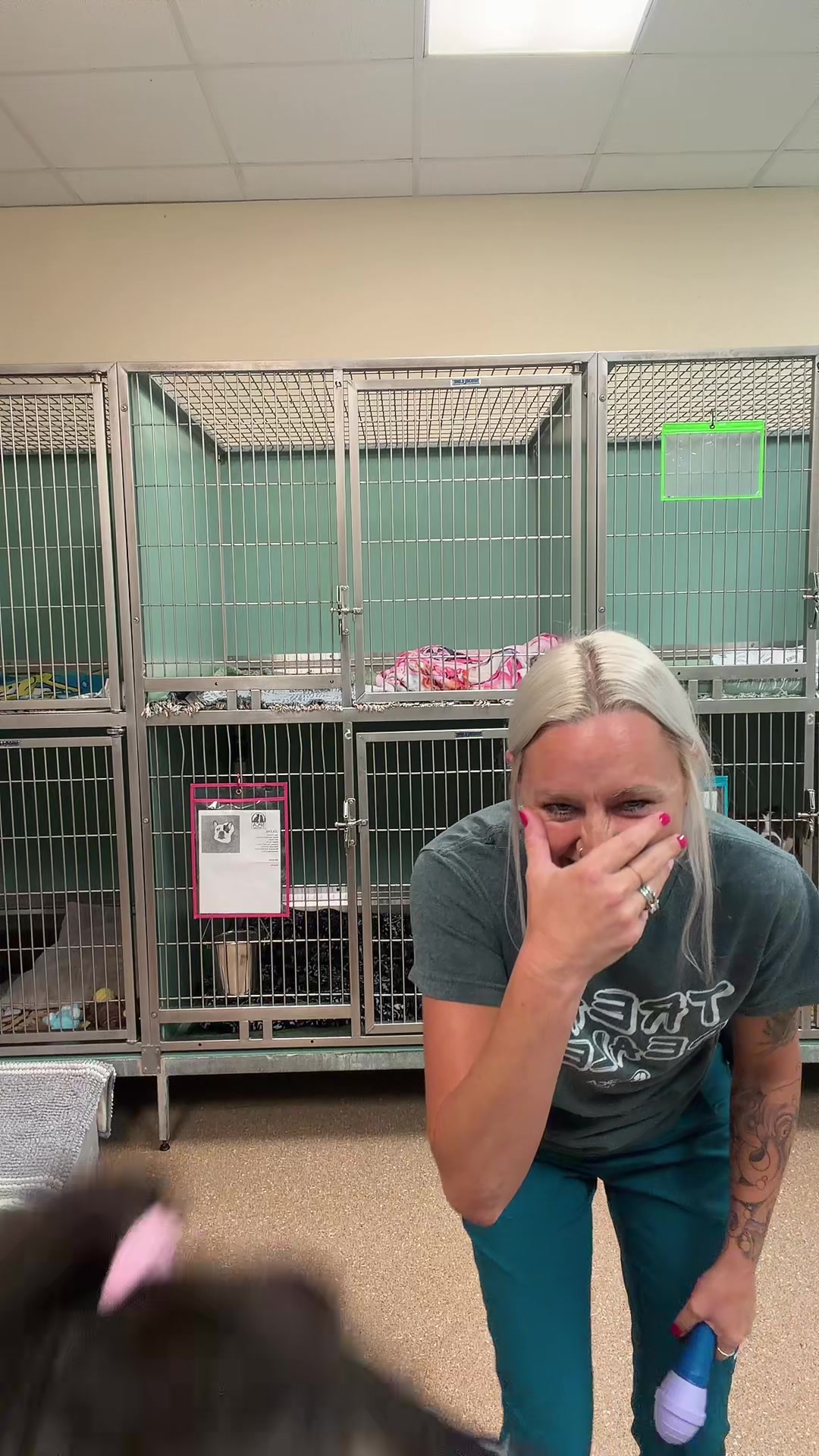 @2vettechs