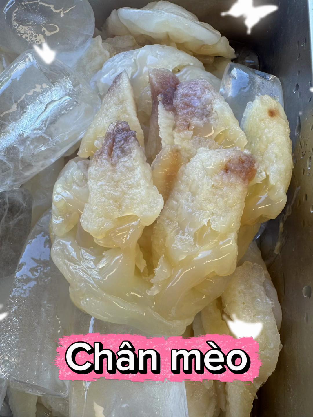 @A THÁI CN TÂN PHÚ