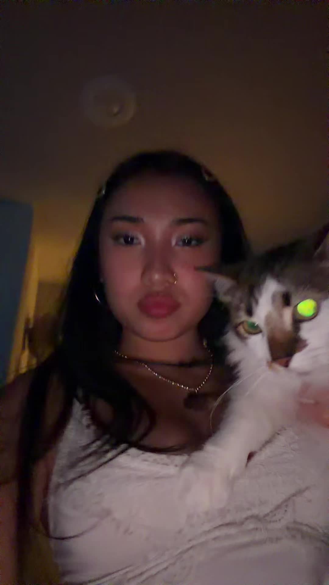 @Kenz