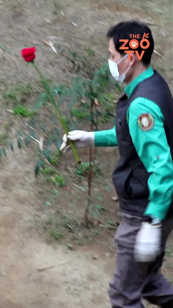 @FuRuHu