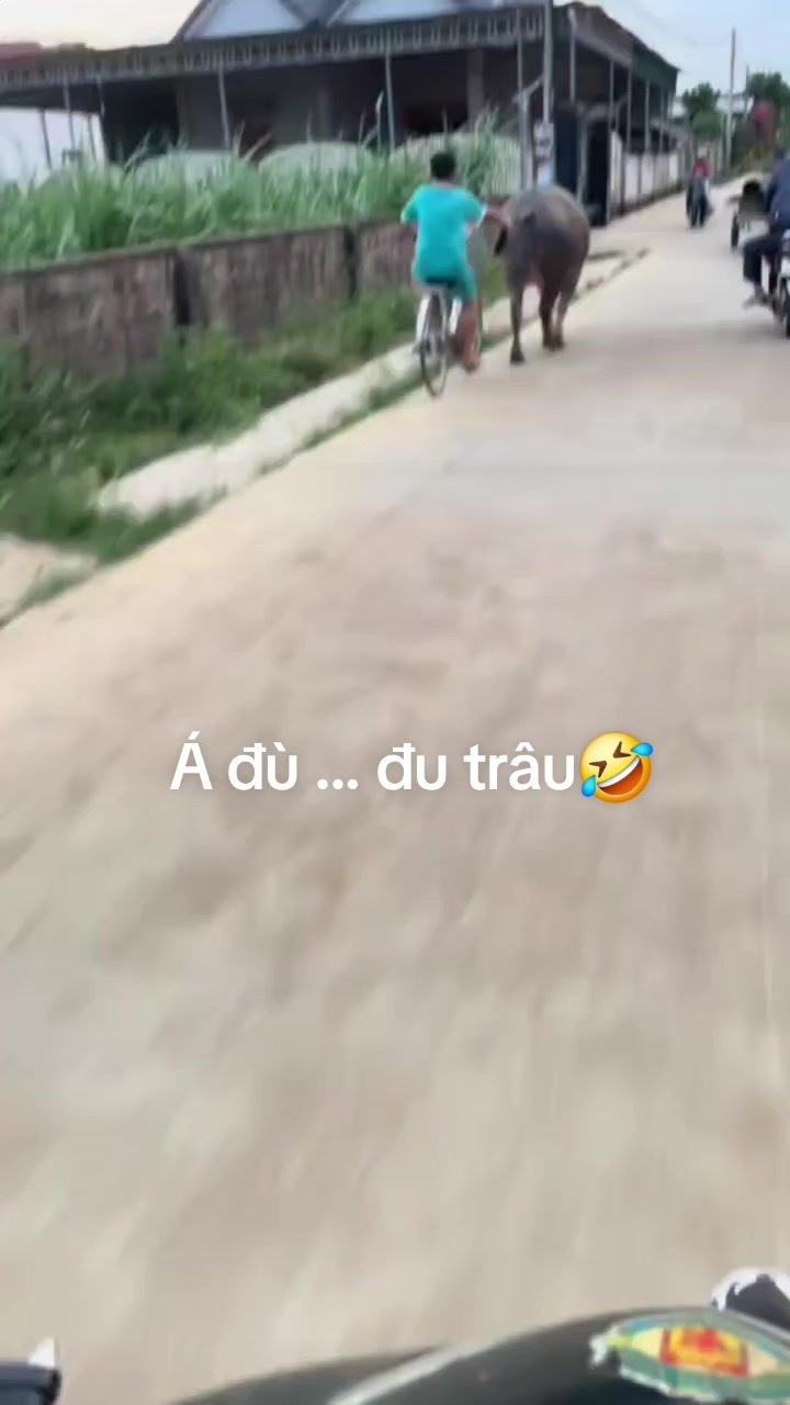 @Đào Minh Quân 🐓