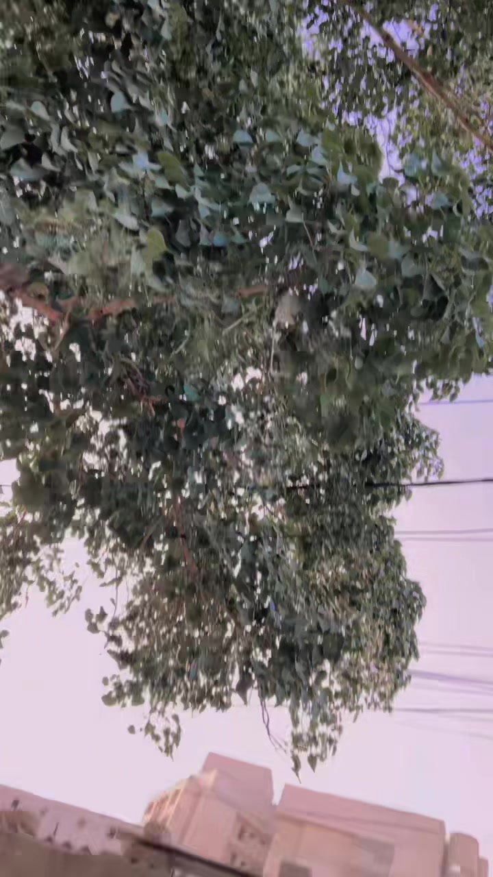 @🚓سندھ پولیس🚨