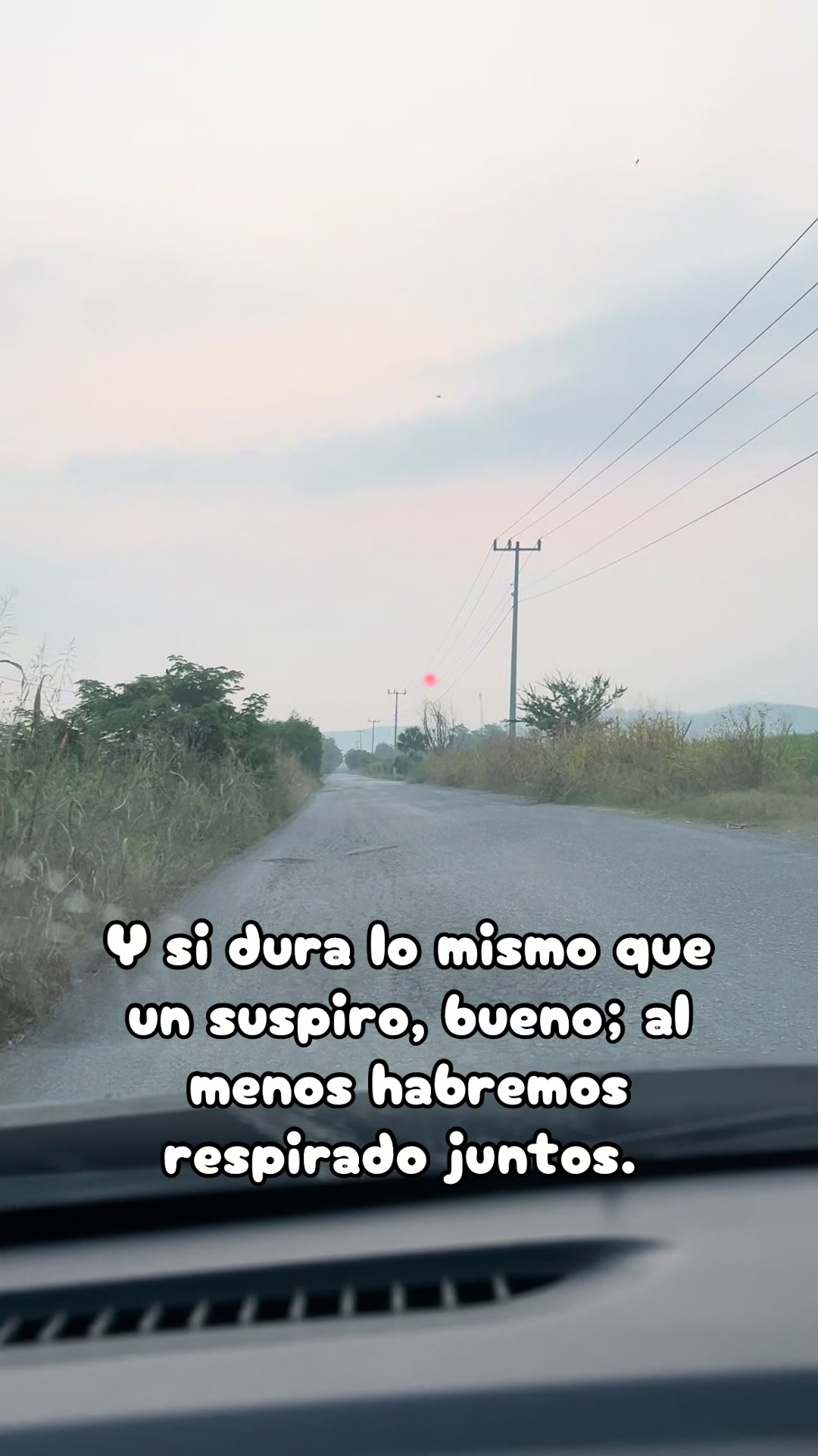 @Lorenza Castillo