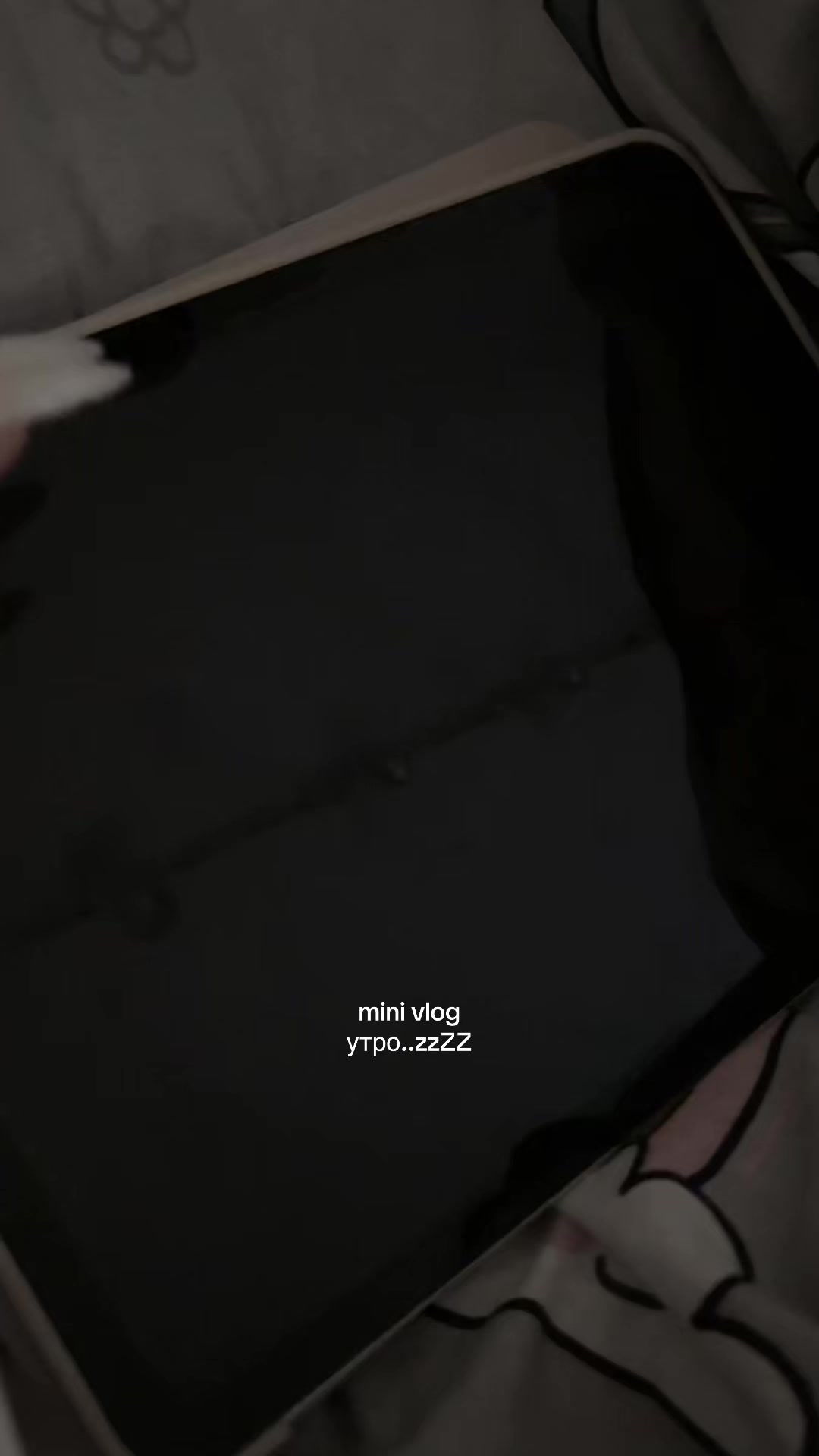 @(_ _).｡o○