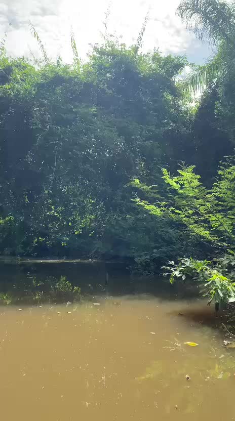 @Riveri