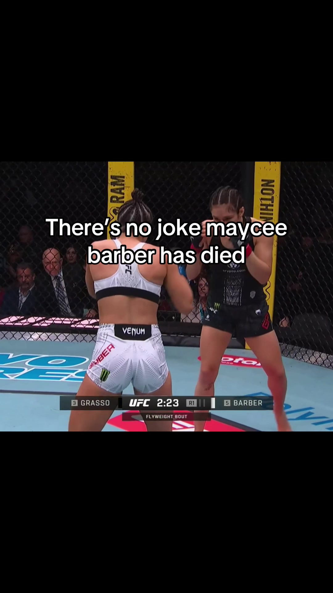 @maxhollowaychodemma