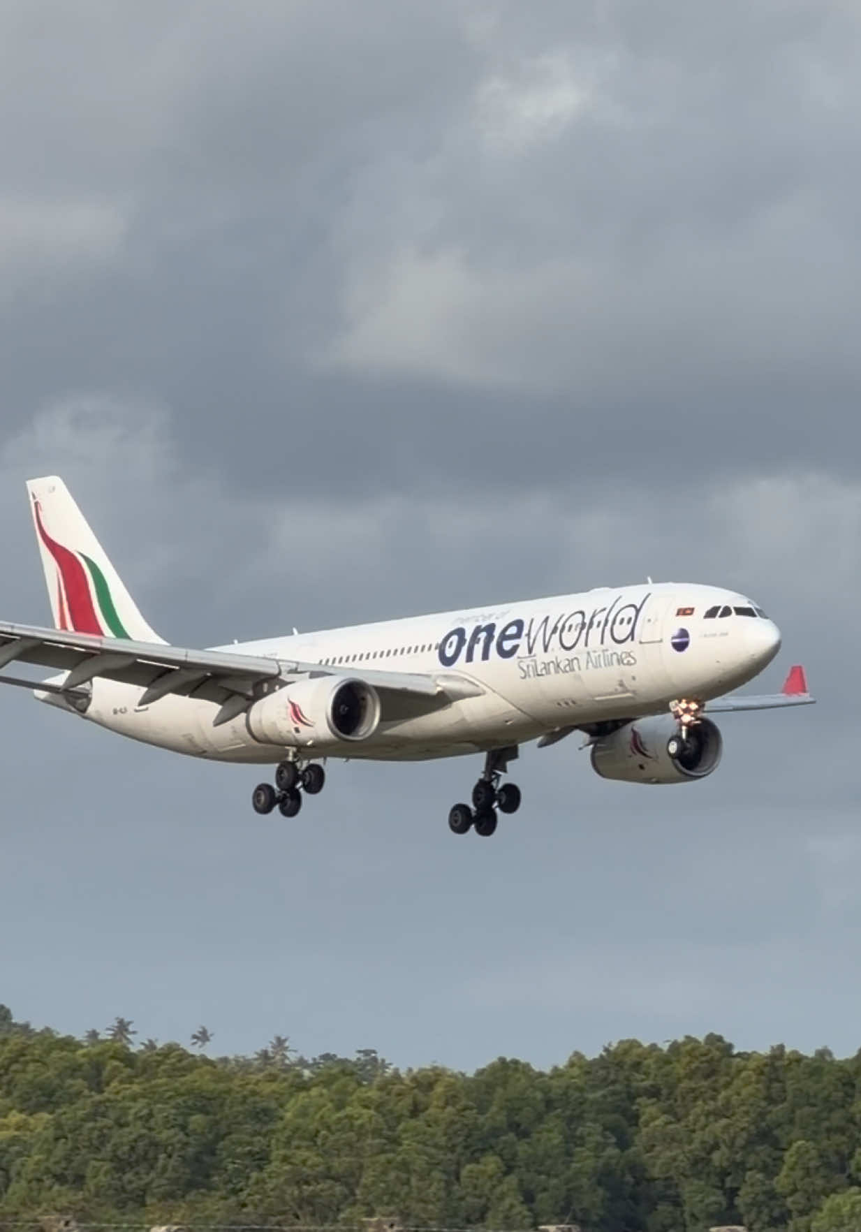 @AvGeek [MJ]