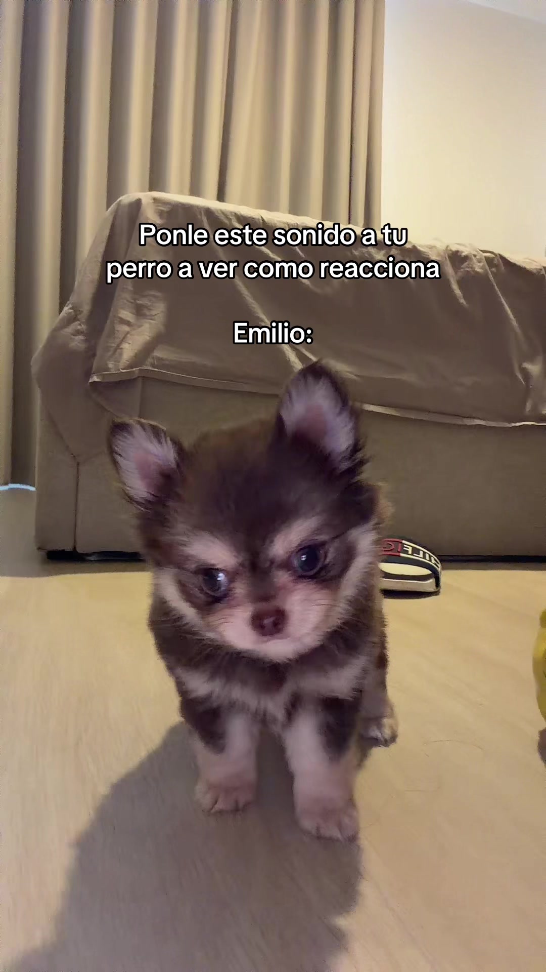@Manuela ruiz