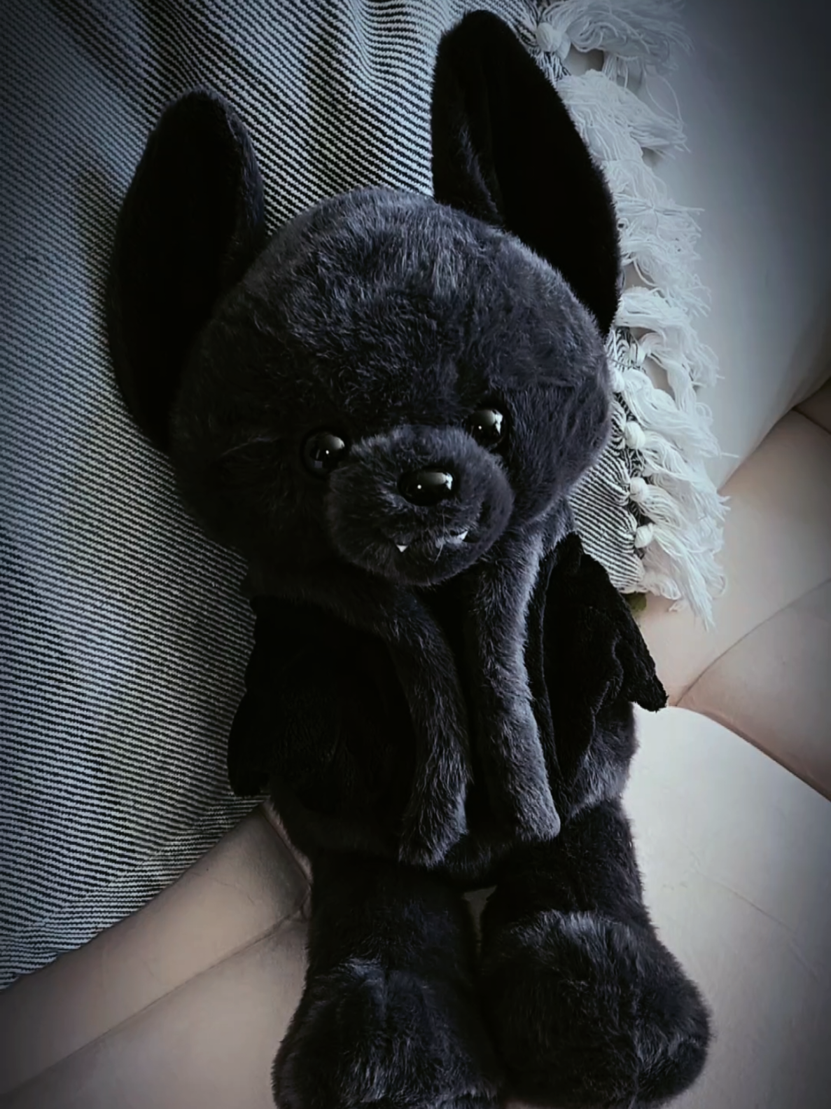 @.𖥔 ݁ ˖☣︎♱Bug♰☣︎⊹ ࣪ ˖