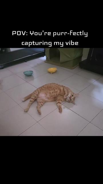@𝓒𝓸𝓷𝓬𝓮𝓻𝓽 𝓣𝓲𝓽𝓪 🎶
