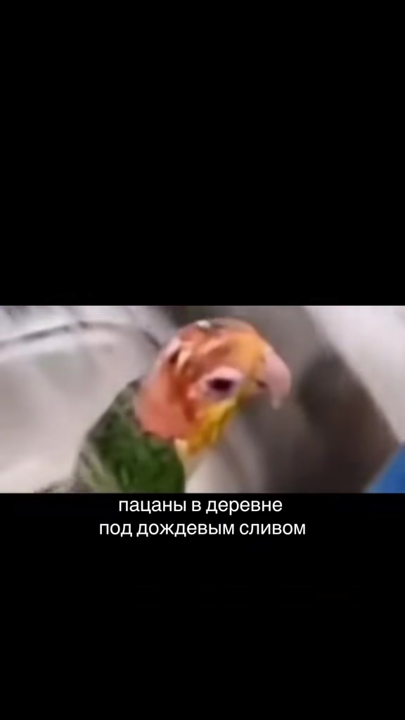 @tvinpikss