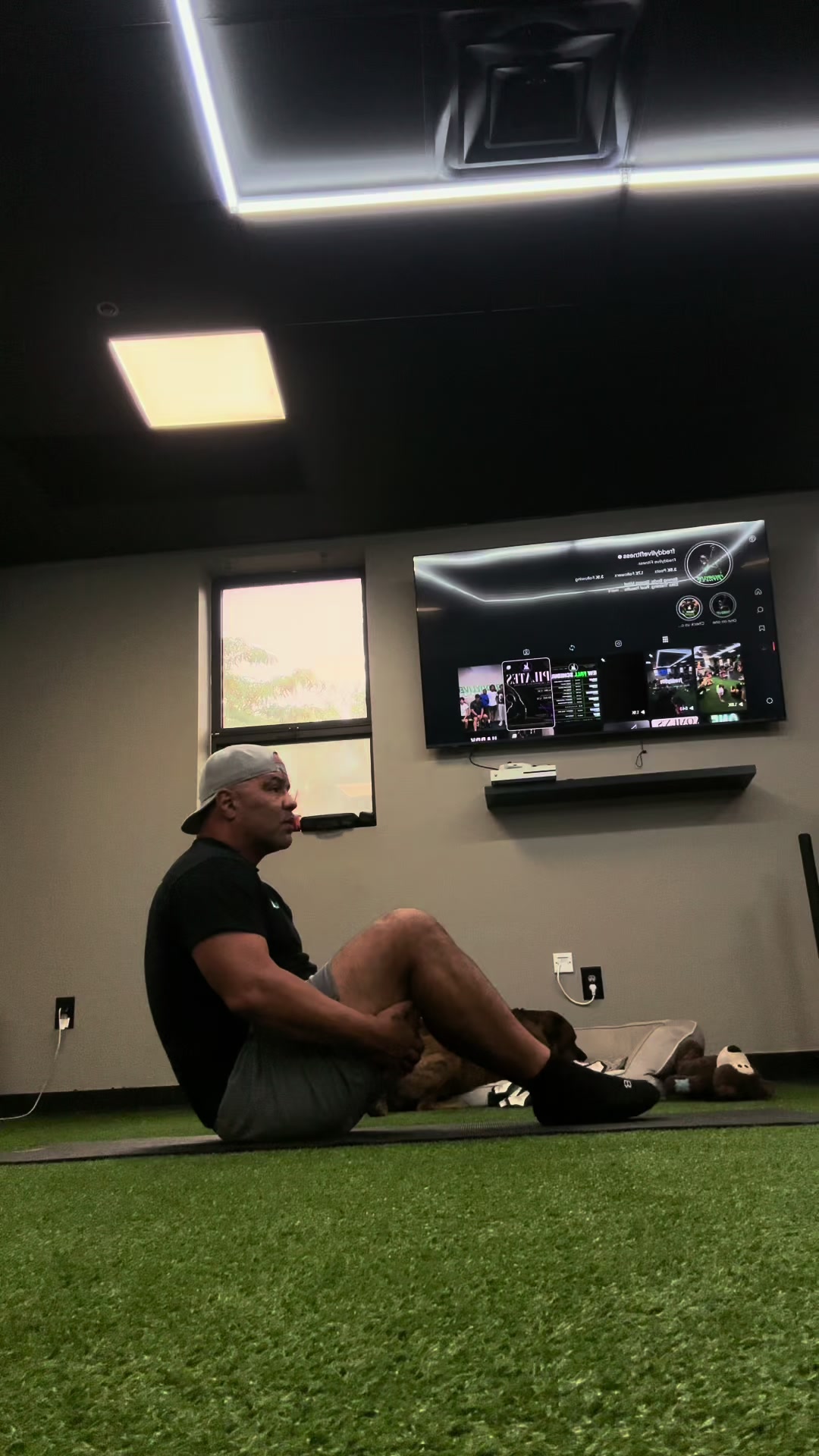 @Freddylive Fitness