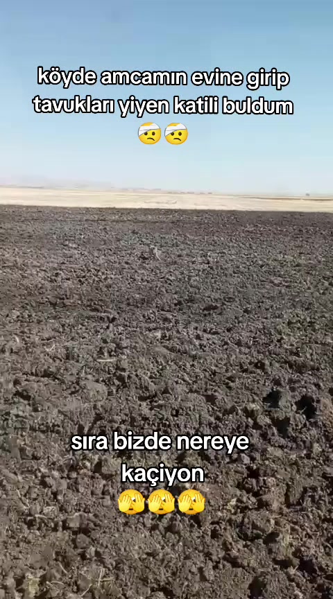 @@ Keça kurda 49 bulanıksayfası