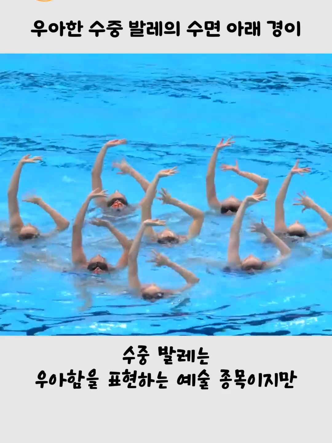 @호랑구팔