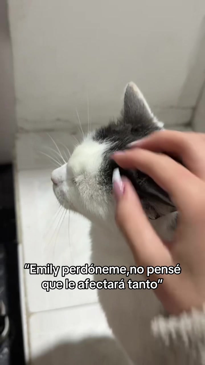 @𝑬𝒎𝒊𝒊𝒍𝒚.