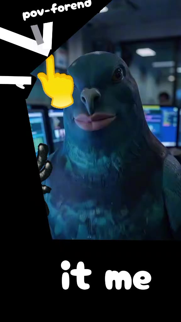 @meowl🅥