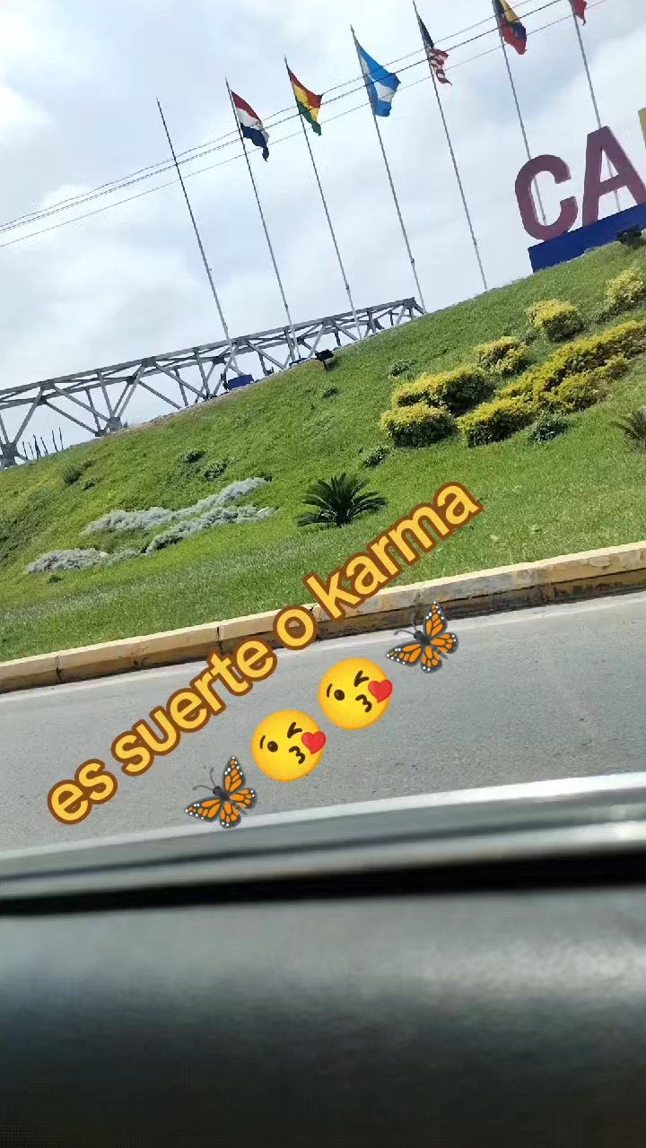 @@marianella🦋🐢