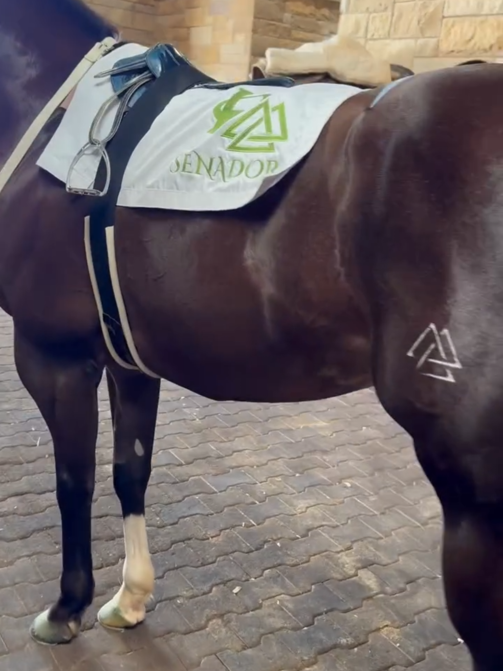 @carriles altos de jalisco🐎