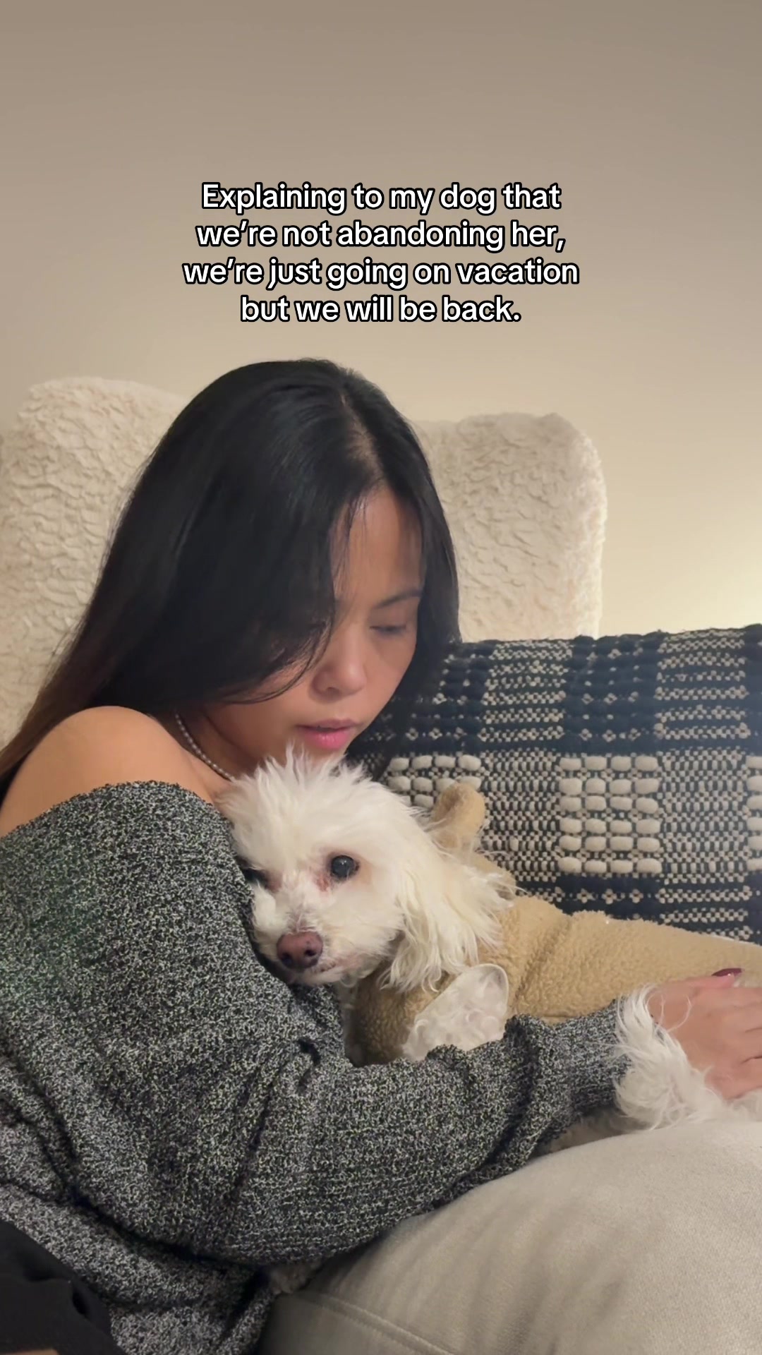 @Spicy The Dog