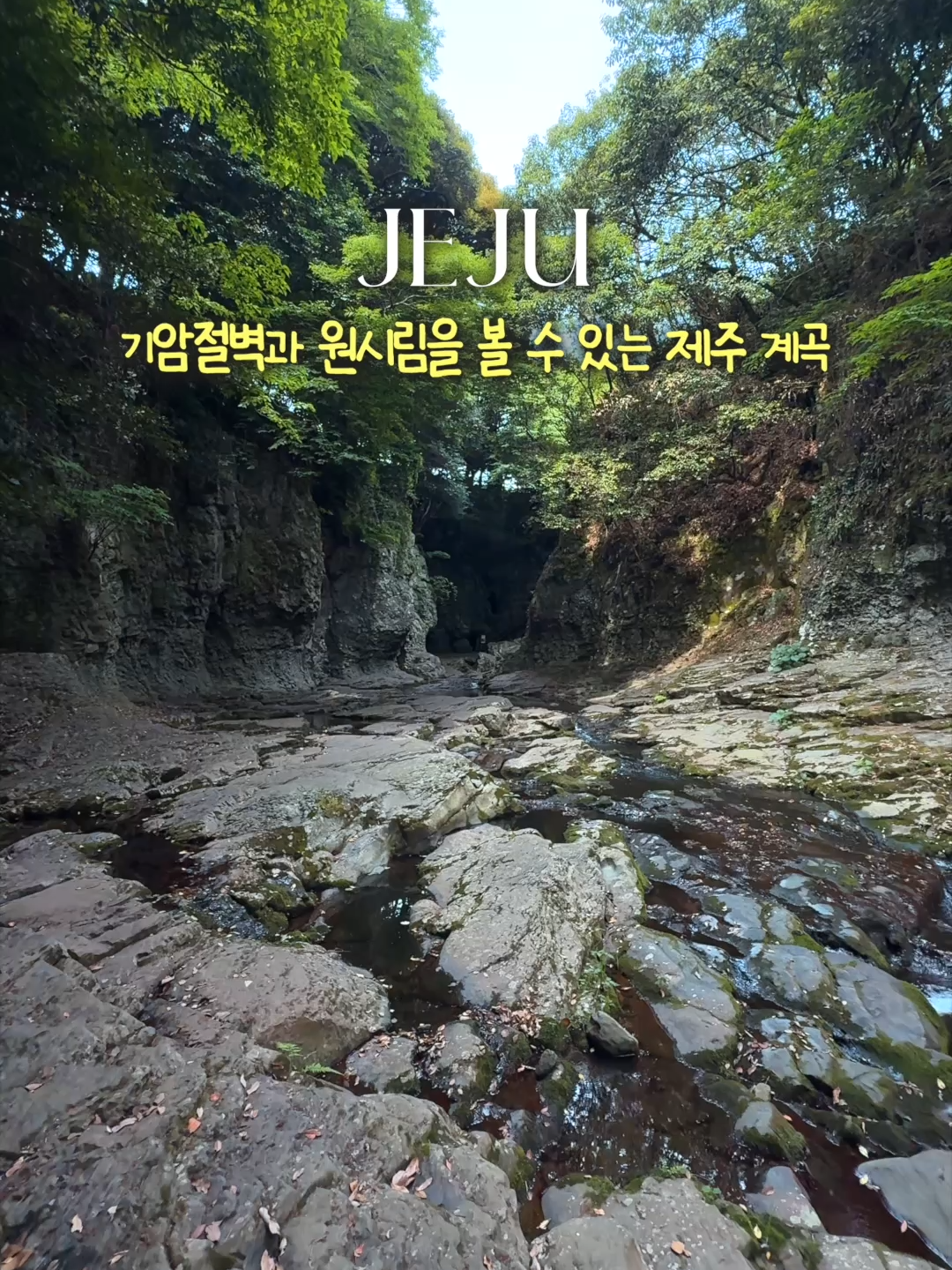 @제주도