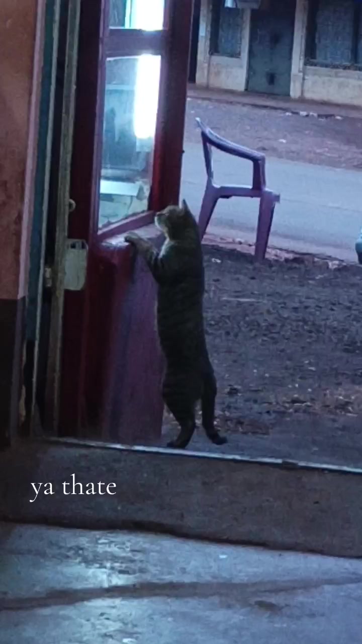@SN