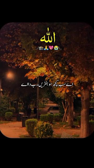 @kamran