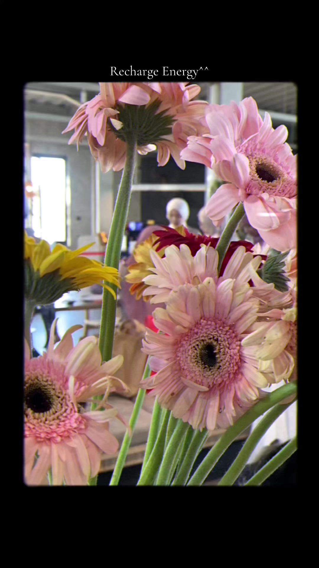 @Floristbooksᯓᡣ𐭩 ˚˖𓍢ִ໋