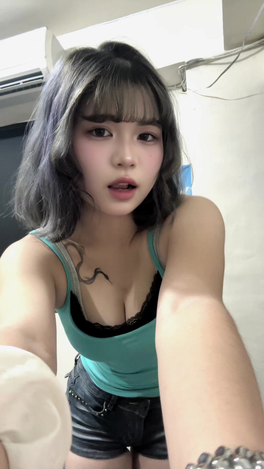 @海豹🦭