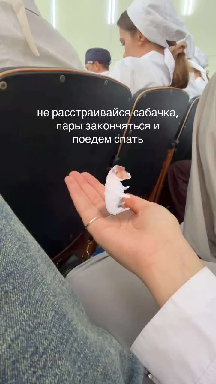 @тгк: ниᴋоɯᴋᴀ
