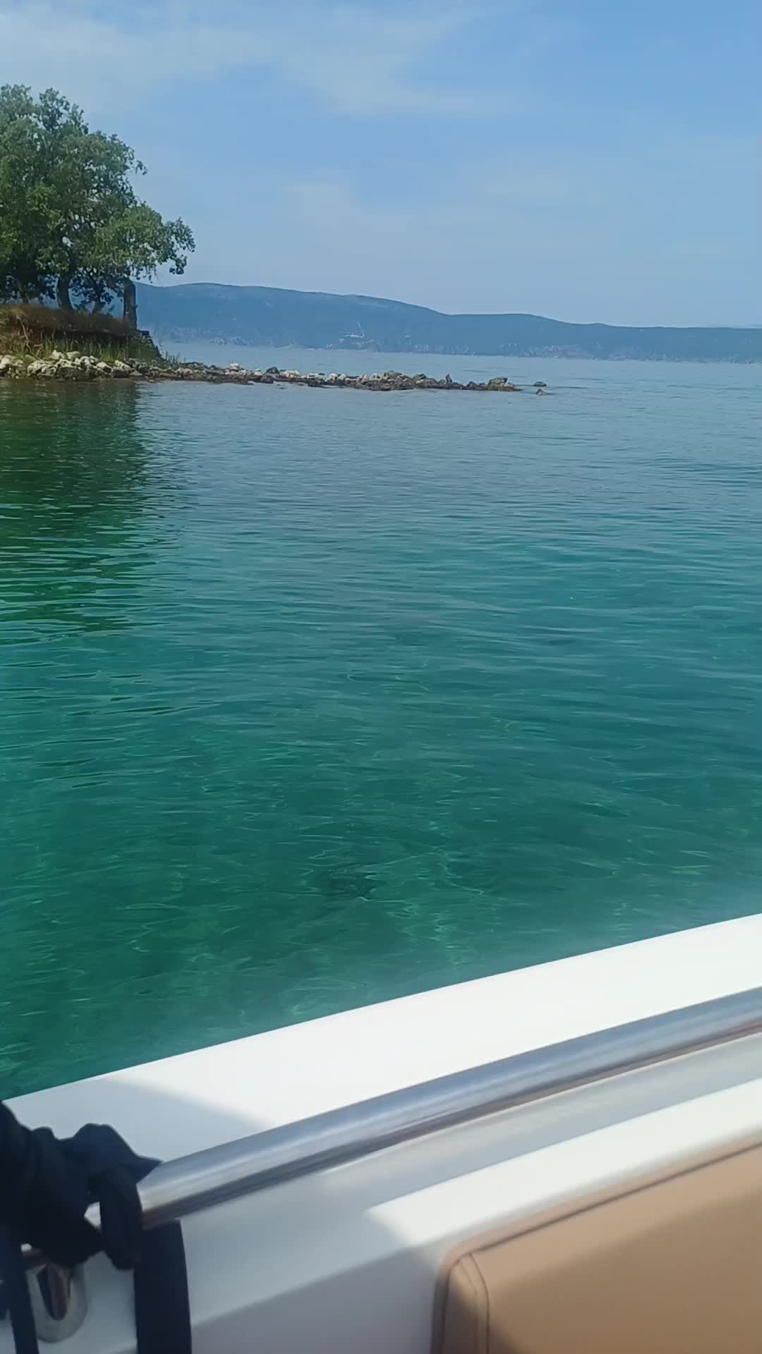 @Anastasia Starosta