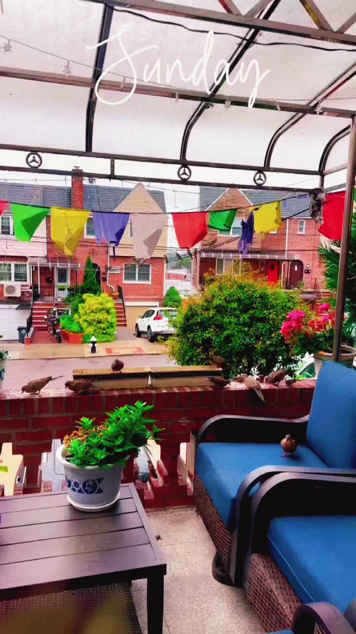 @Na Tum Janoo Na Hum ✌️
