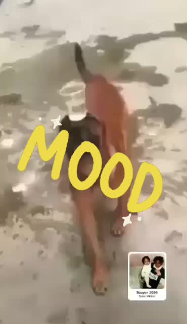 @SMAN MOODS 👿👿👿