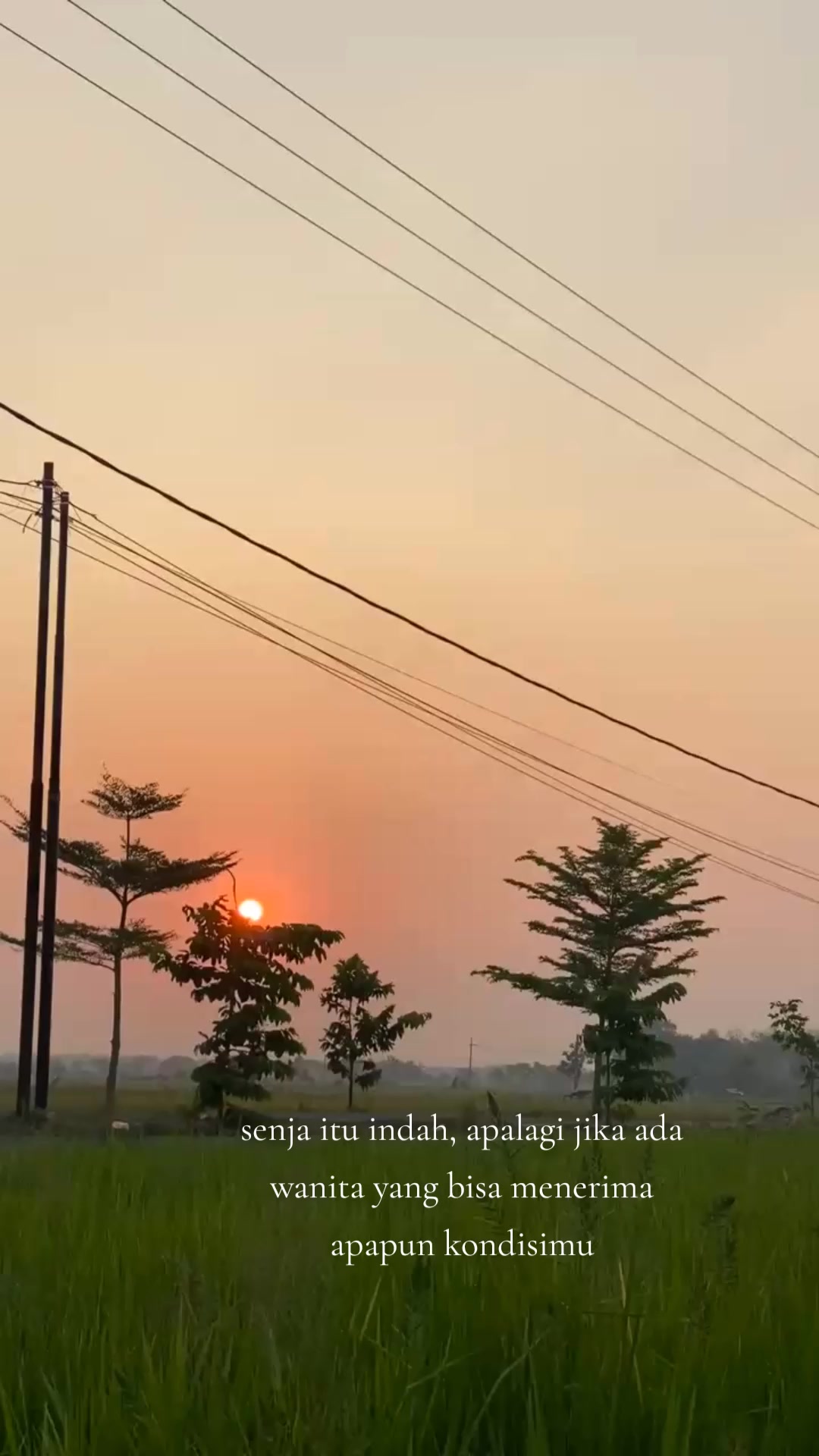 @๐ฉ๐๐ก๐ซ๐ข๐ข๐โก