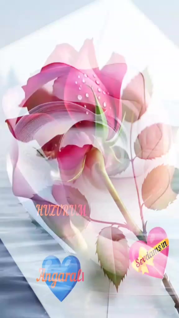 @O6 ANGARALI O6