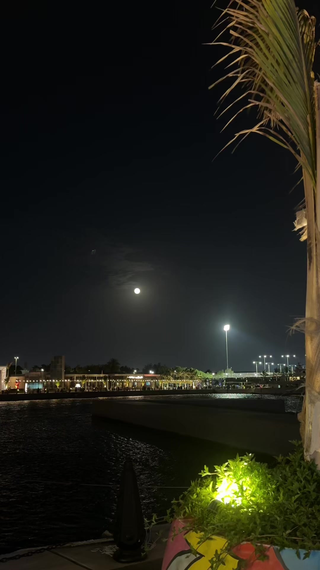 @بَشائر العتيبي 🪞