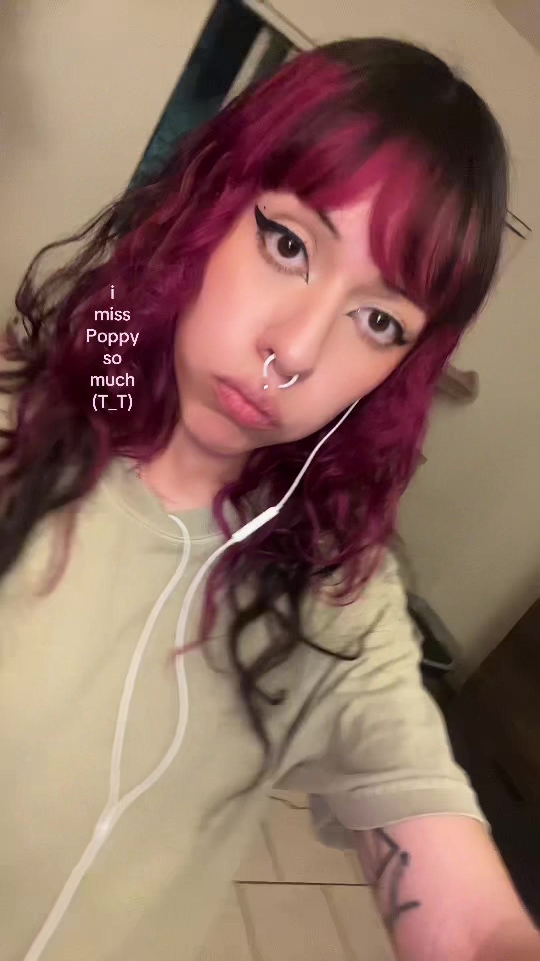 @Pluero ❀⋆.ೃ࿔*