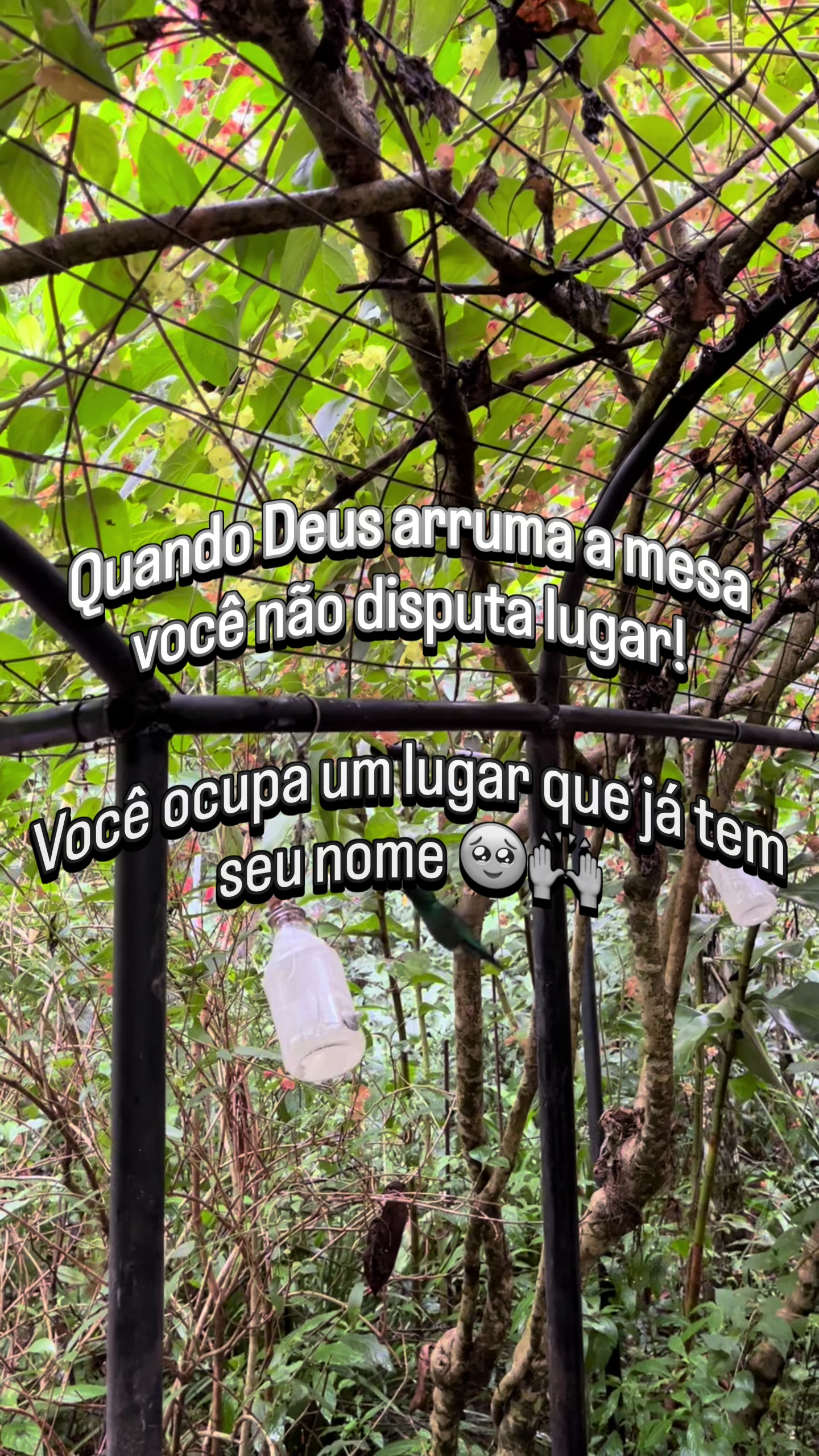 @Denise Queiroz