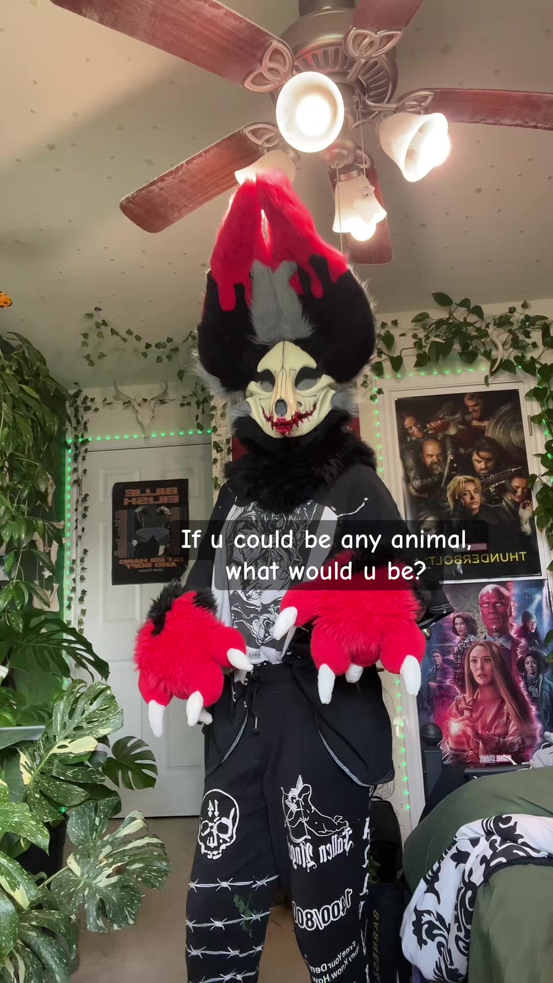 @aethertheskulldog🔜LSFC
