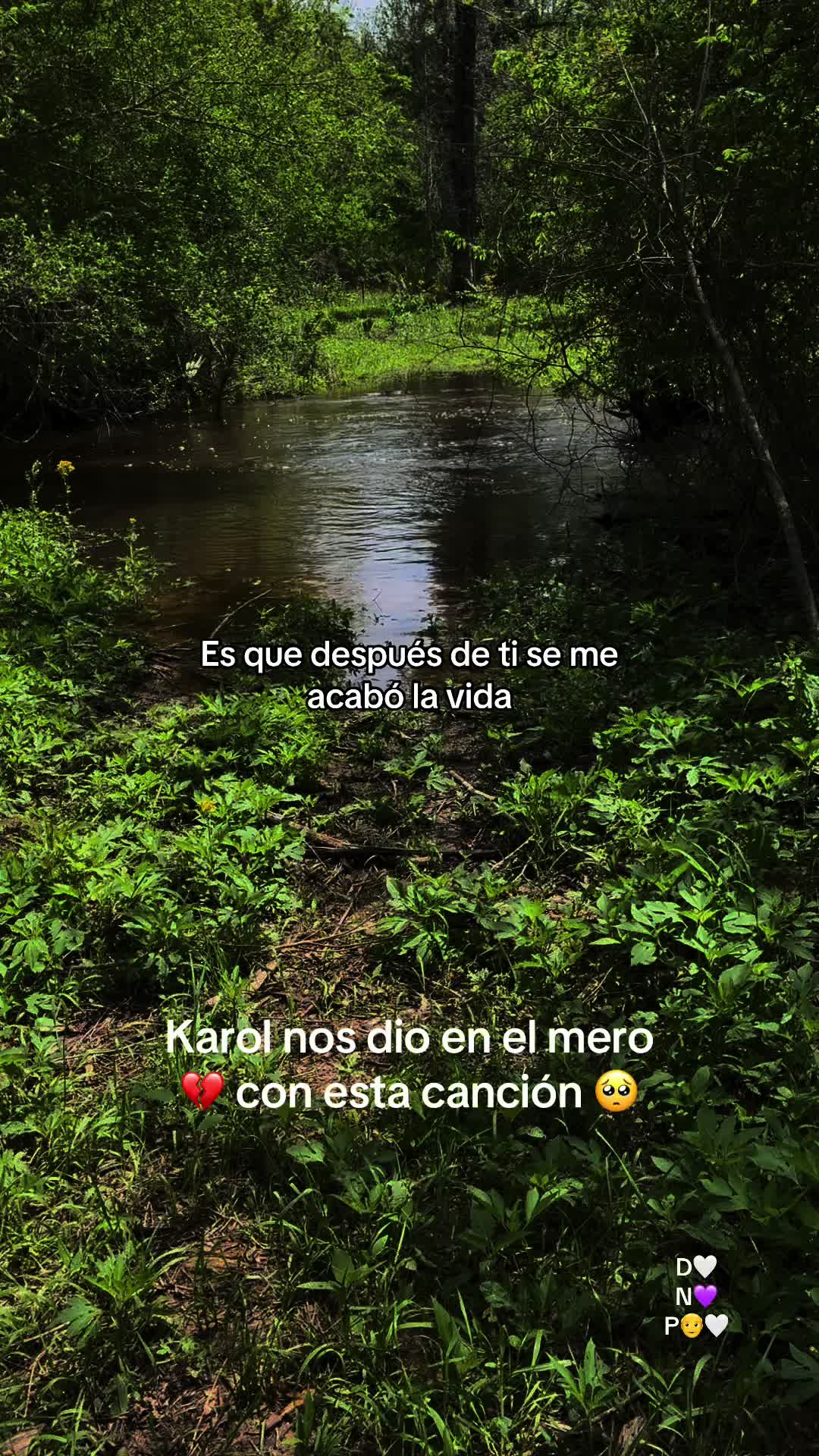 @Nai trdz 🐍