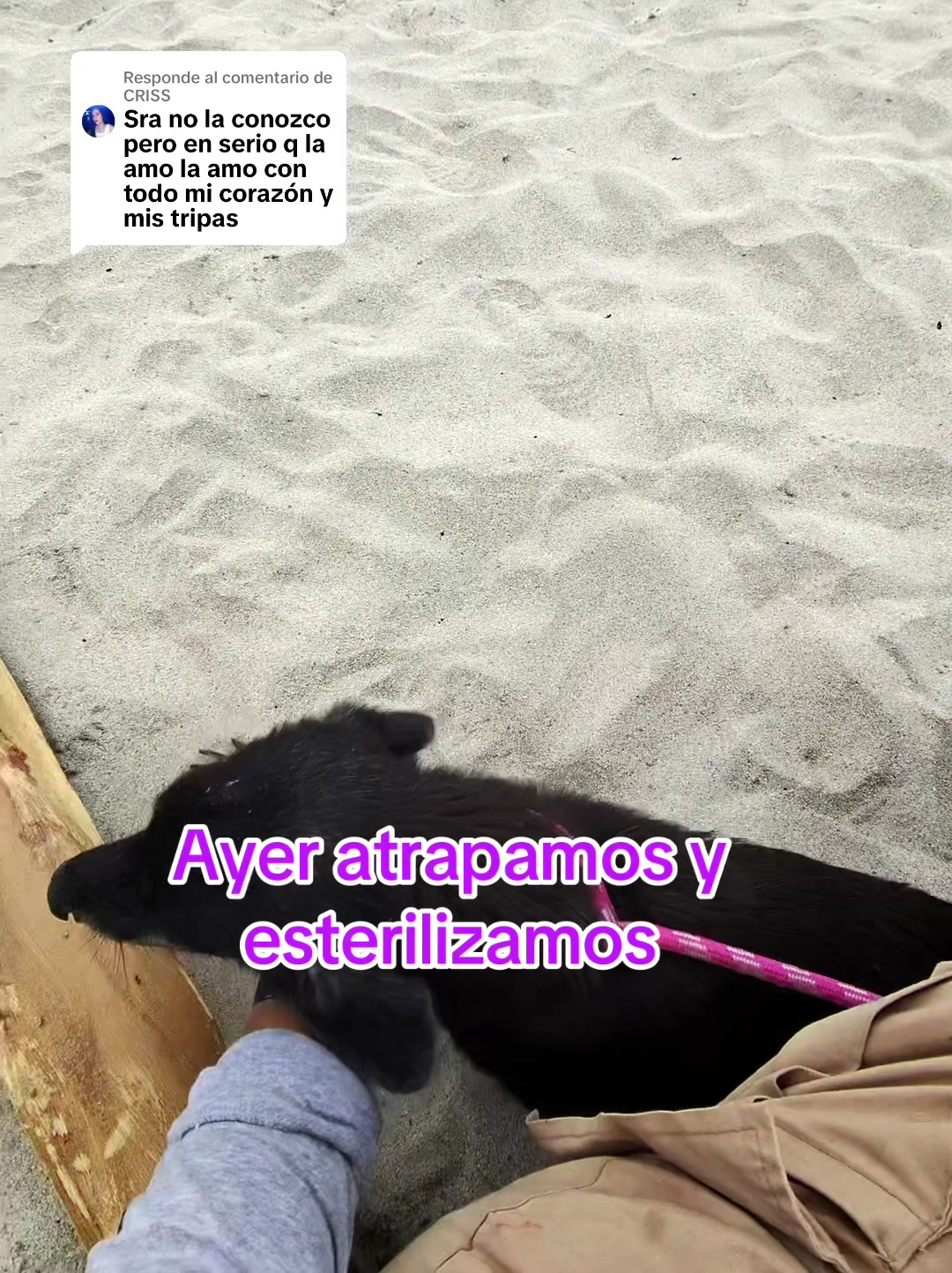 @Rescatando a los Peludos