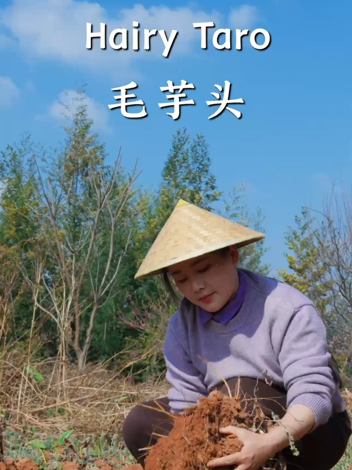 @滇西小哥 Dianxixiaoge