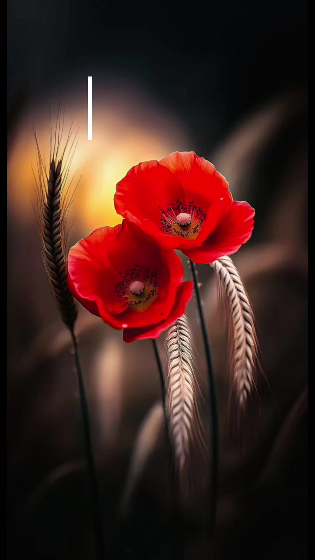 @@Lucy
