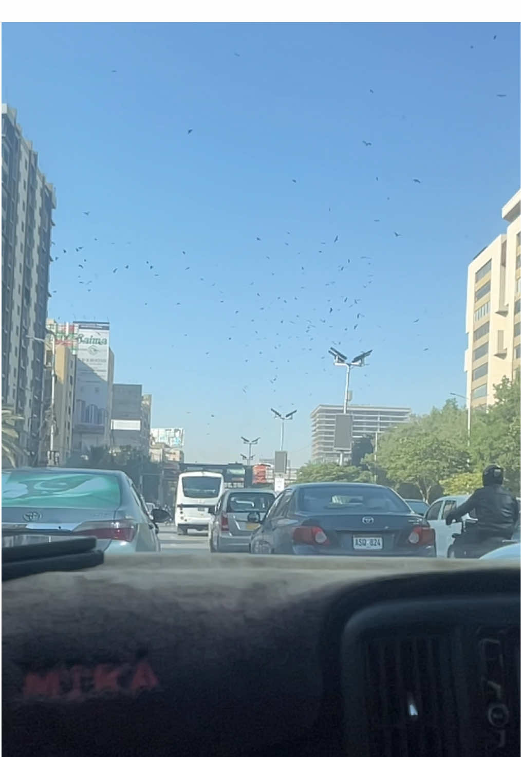 @Sadia🕊️