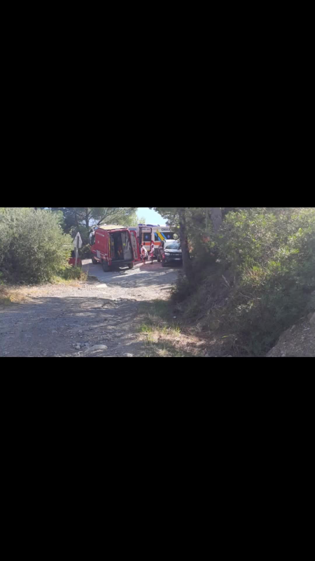 @OroCervo