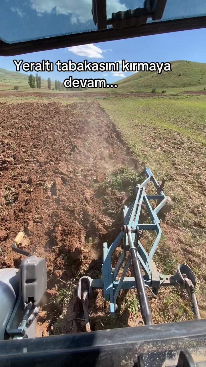 @Gürsel Karasülük☑️