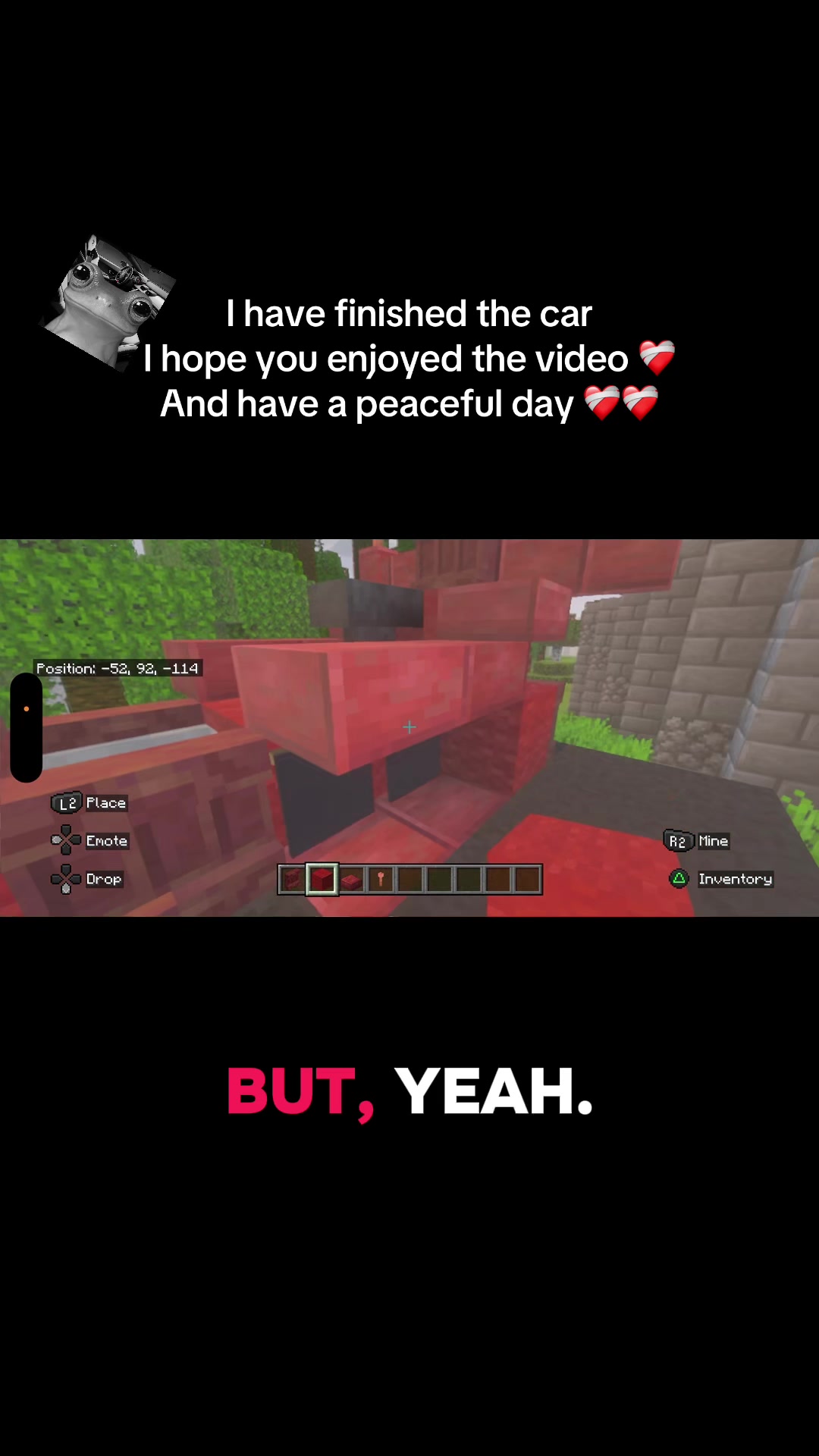 @josh_thoght_of_frog