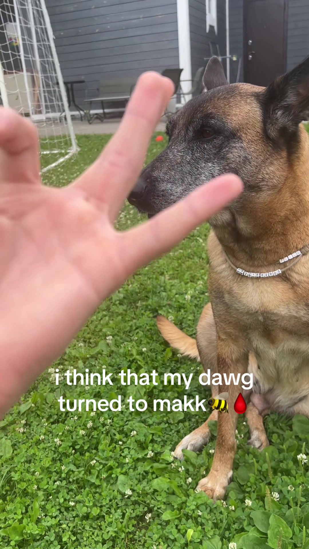 @TrueDozy 🚶🏽♂️🩸