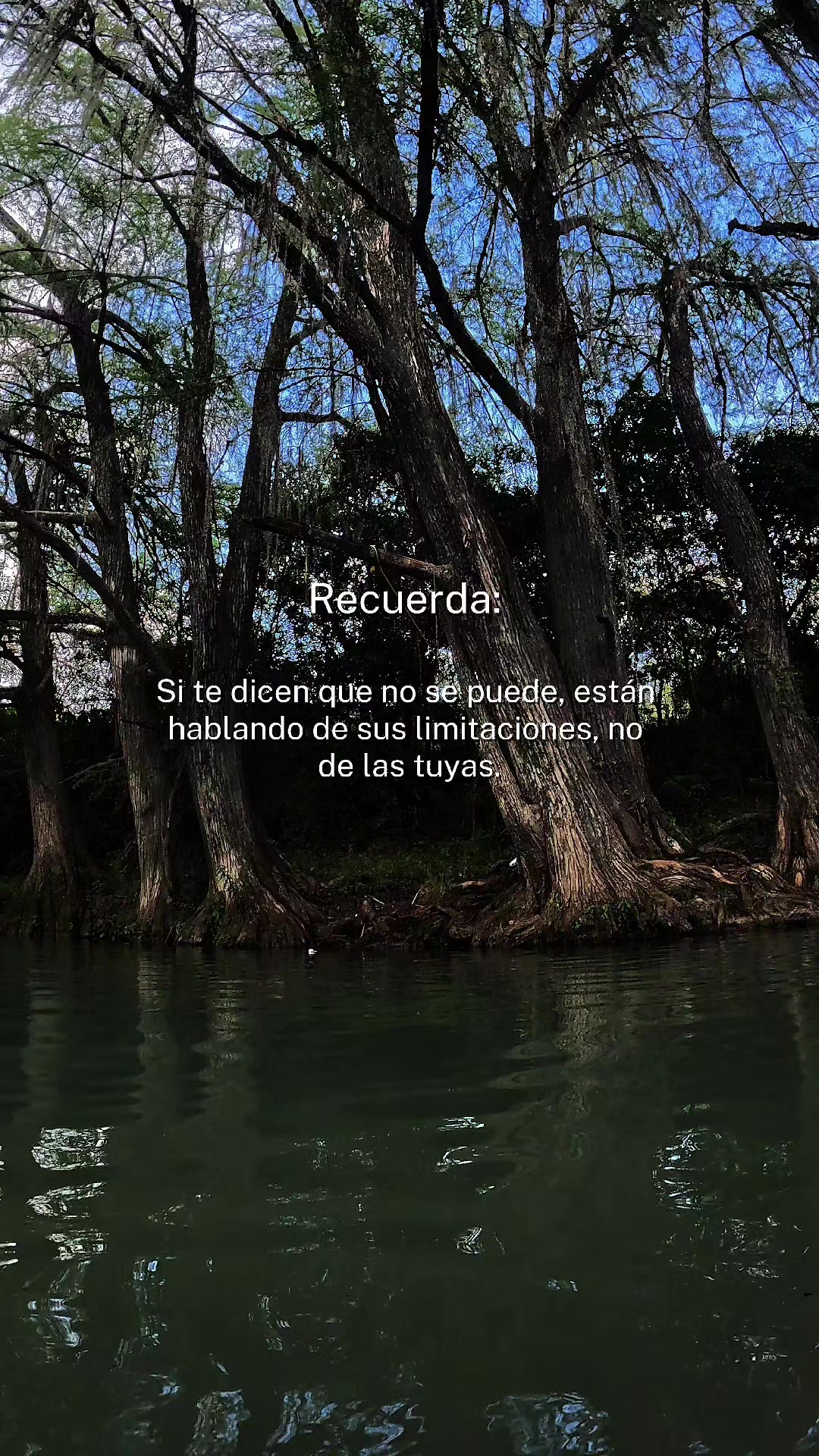 @Construyendoelexito