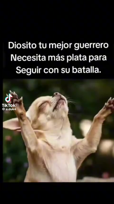 @efren Barcenas