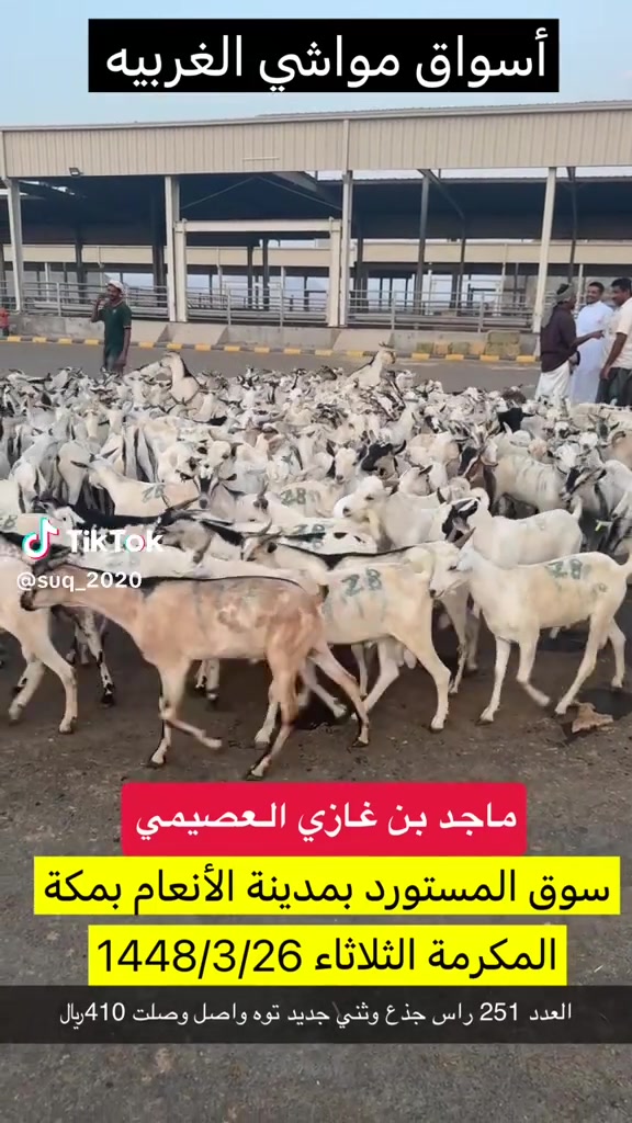 @mohamed_ksa0